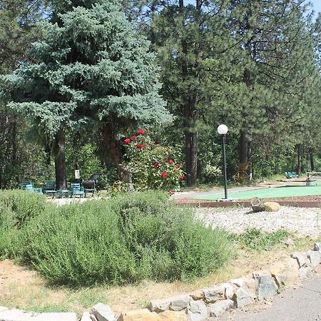 Golden Chain Motel Grass Valley Extérieur photo