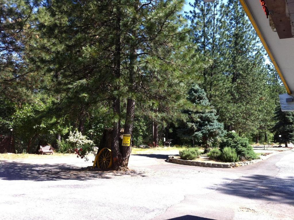 Golden Chain Motel Grass Valley Extérieur photo